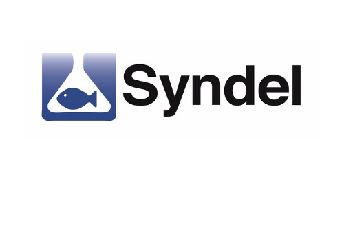 SyndelPrizeSelection