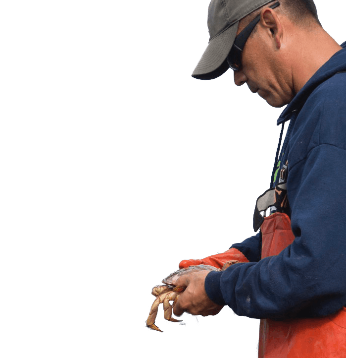Jay Julius Entrepreneur Commercial Fisherman